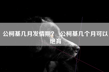 公柯基几月发情期？_公柯基几个月可以绝育