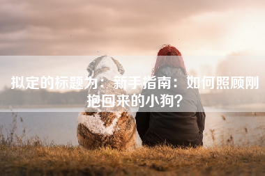 拟定的标题为：新手指南：如何照顾刚抱回来的小狗？