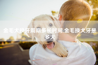 金毛犬换牙周期多长时间;金毛换犬牙是多大