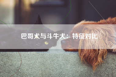 巴哥犬与斗牛犬：特征对比