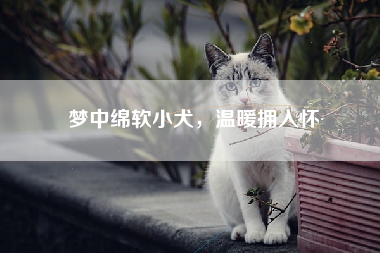 梦中绵软小犬，温暖拥入怀