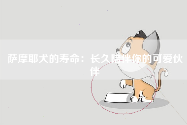 萨摩耶犬的寿命：长久陪伴你的可爱伙伴