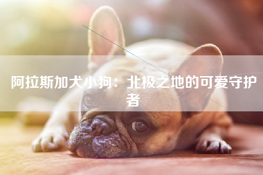 阿拉斯加犬小狗：北极之地的可爱守护者