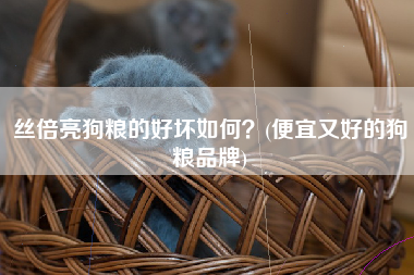 丝倍亮狗粮的好坏如何？(便宜又好的狗粮品牌)