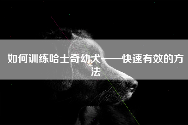 如何训练哈士奇幼犬——快速有效的方法