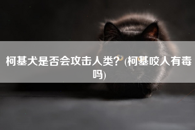 柯基犬是否会攻击人类？(柯基咬人有毒吗)