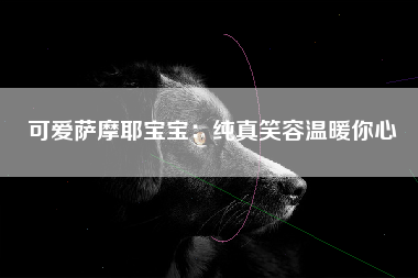 可爱萨摩耶宝宝：纯真笑容温暖你心