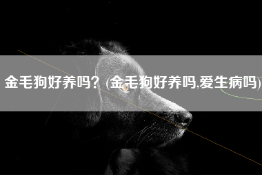 金毛狗好养吗？(金毛狗好养吗,爱生病吗)