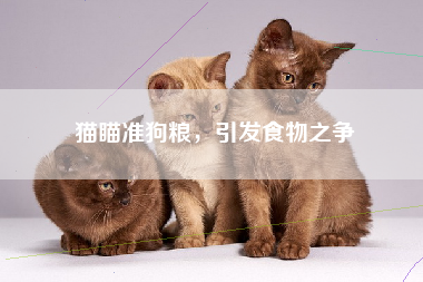 猫瞄准狗粮，引发食物之争