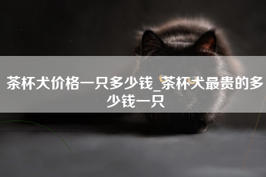 茶杯犬价格一只多少钱_茶杯犬最贵的多少钱一只