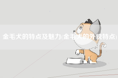 金毛犬的特点及魅力(金毛犬的外貌特点)