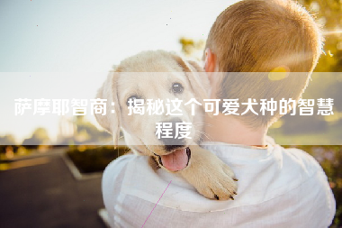 萨摩耶智商：揭秘这个可爱犬种的智慧程度