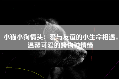 小猫小狗情头：爱与友谊的小生命相遇，温馨可爱的跨物种情缘