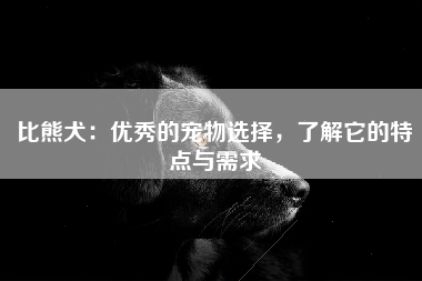 比熊犬：优秀的宠物选择，了解它的特点与需求