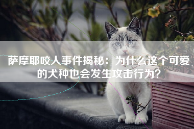 萨摩耶咬人事件揭秘：为什么这个可爱的犬种也会发生攻击行为？