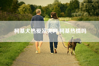 柯基犬热爱凉爽吗;柯基热情吗