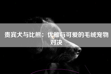 贵宾犬与比熊：优雅与可爱的毛绒宠物对决