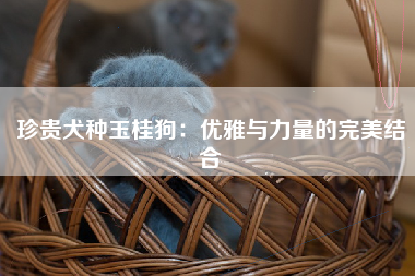 珍贵犬种玉桂狗：优雅与力量的完美结合