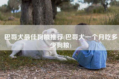 巴哥犬最佳狗粮推荐(巴哥犬一个月吃多少狗粮)