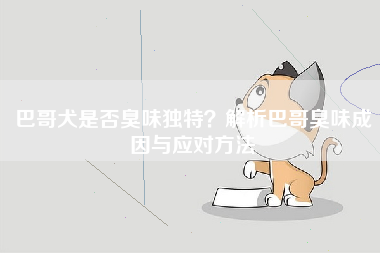 巴哥犬是否臭味独特？解析巴哥臭味成因与应对方法