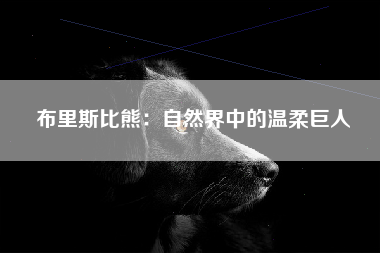 布里斯比熊：自然界中的温柔巨人