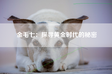 金毛七：探寻黄金时代的秘密